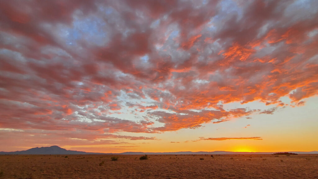 A sunset with clouds and animals in the distance.