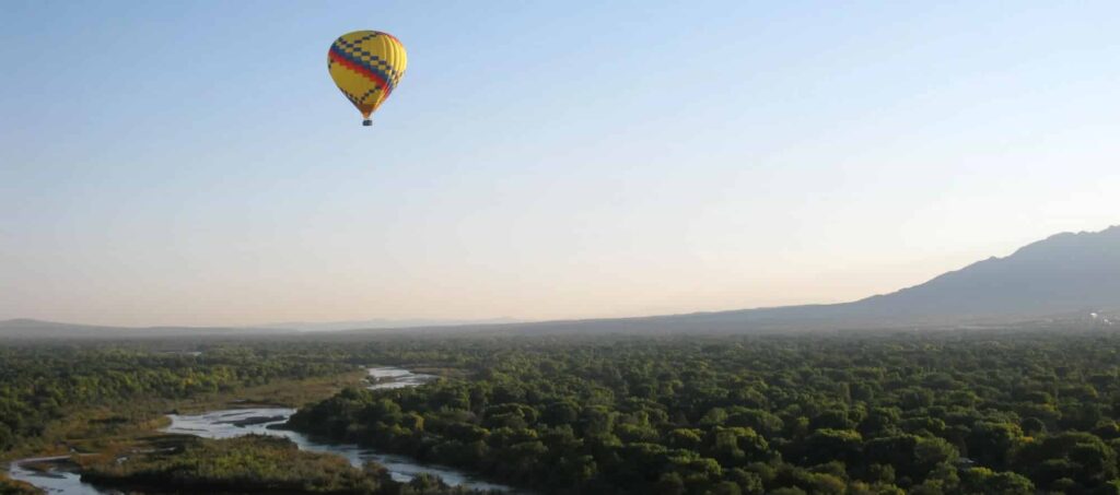 A hot air balloon flying over the trees.